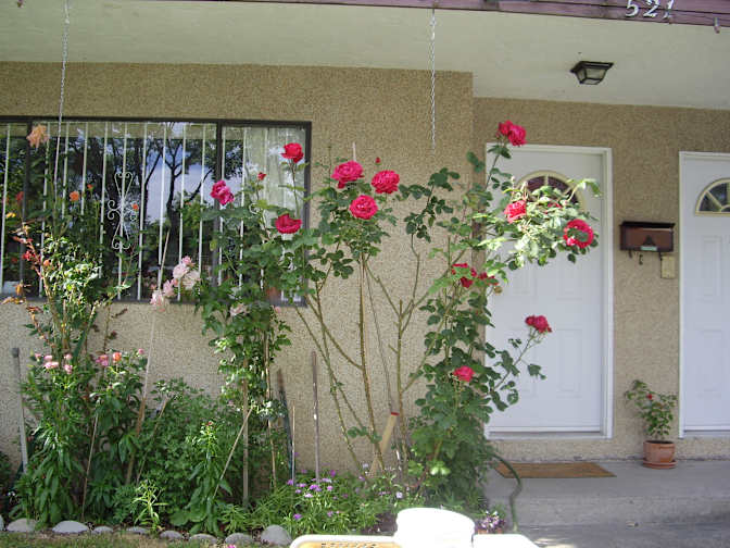 Gregory McCay's room