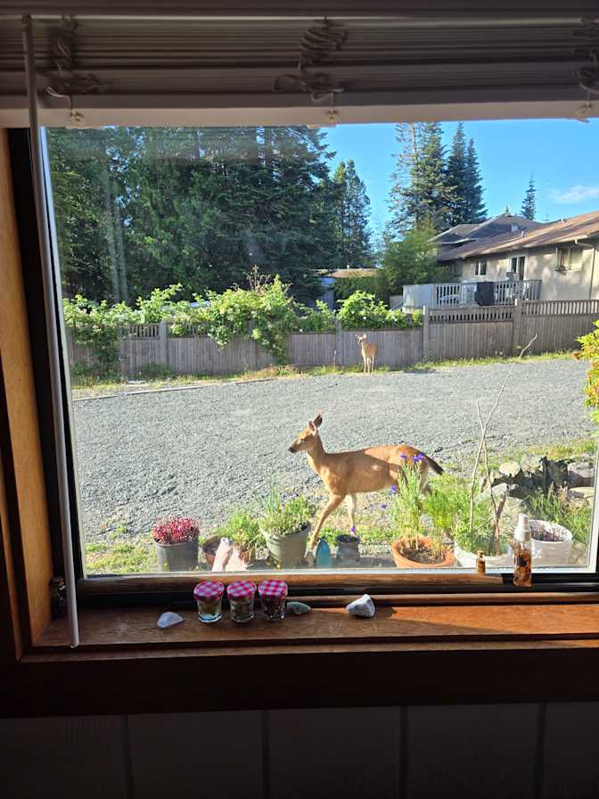 Rheanna Price's room