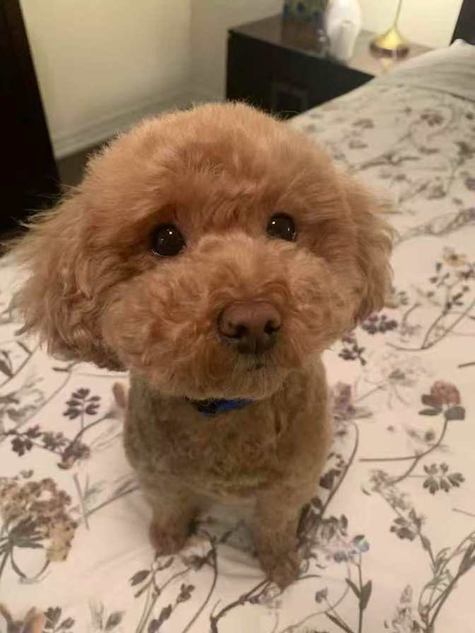 Photo of Zhigao's room