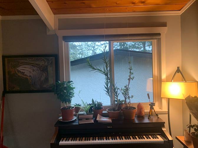 Photo of Colt's room