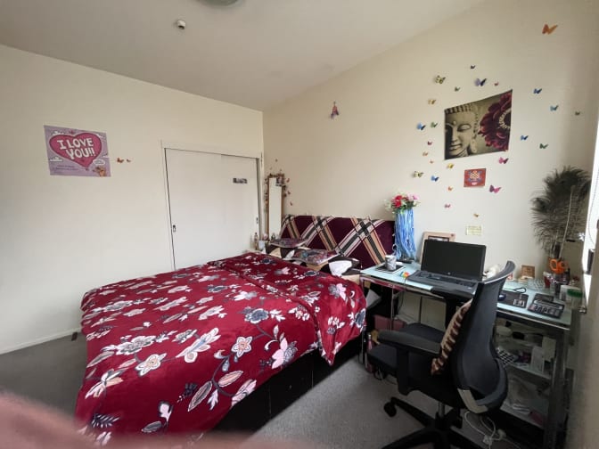 Photo of Sandy's room