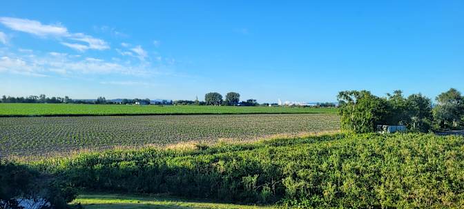 Photo of Claire Garnett's room