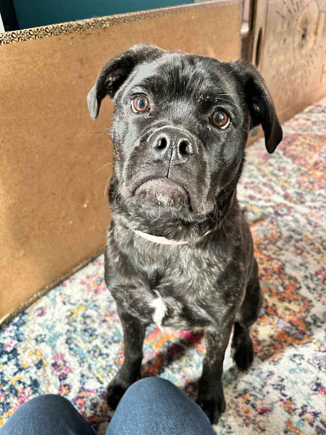 Meghan and Jessica's room