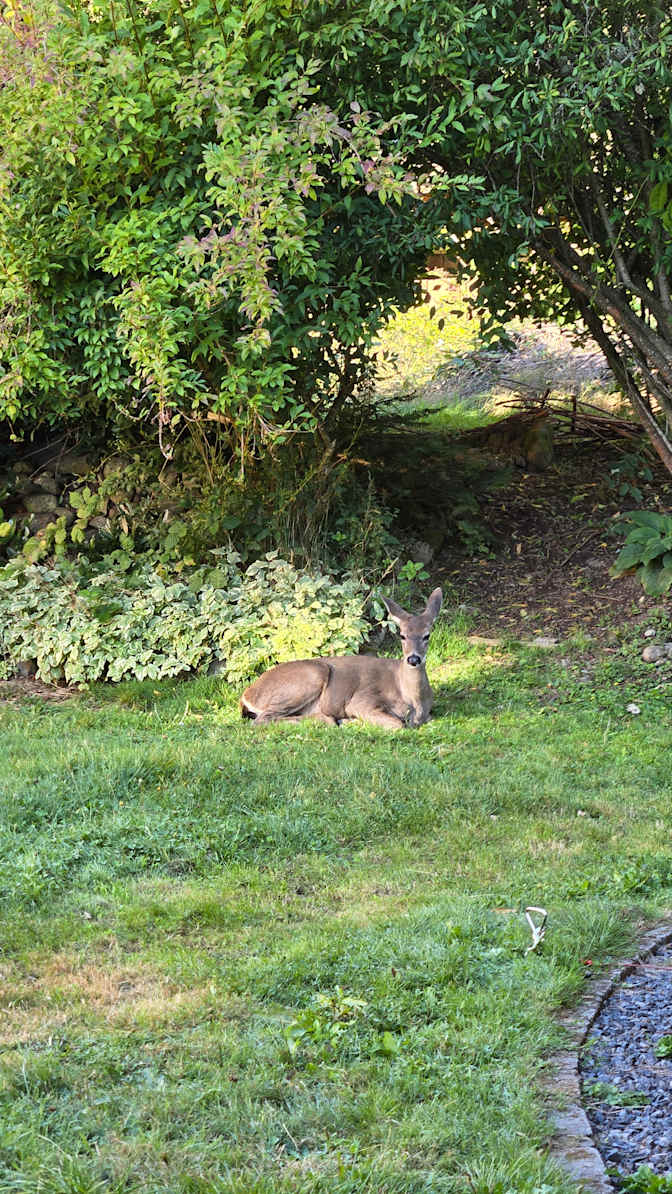 Rheanna Price's room