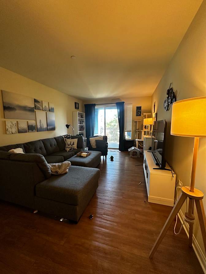 Photo of Cassidy's room