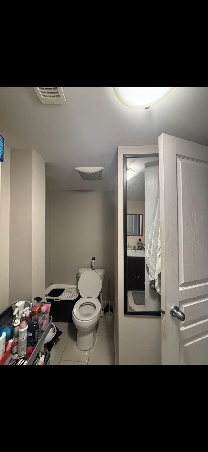 Photo of Charlotte's room