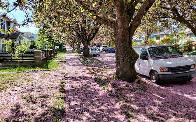 Photo of Danielle's room