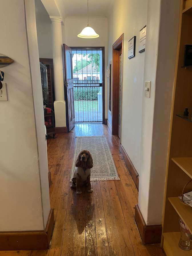 Photo of Camilla's room