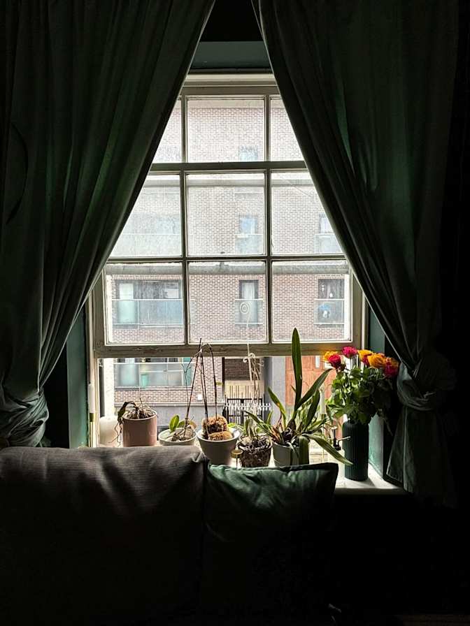 Photo of Alessandra Luppino's room