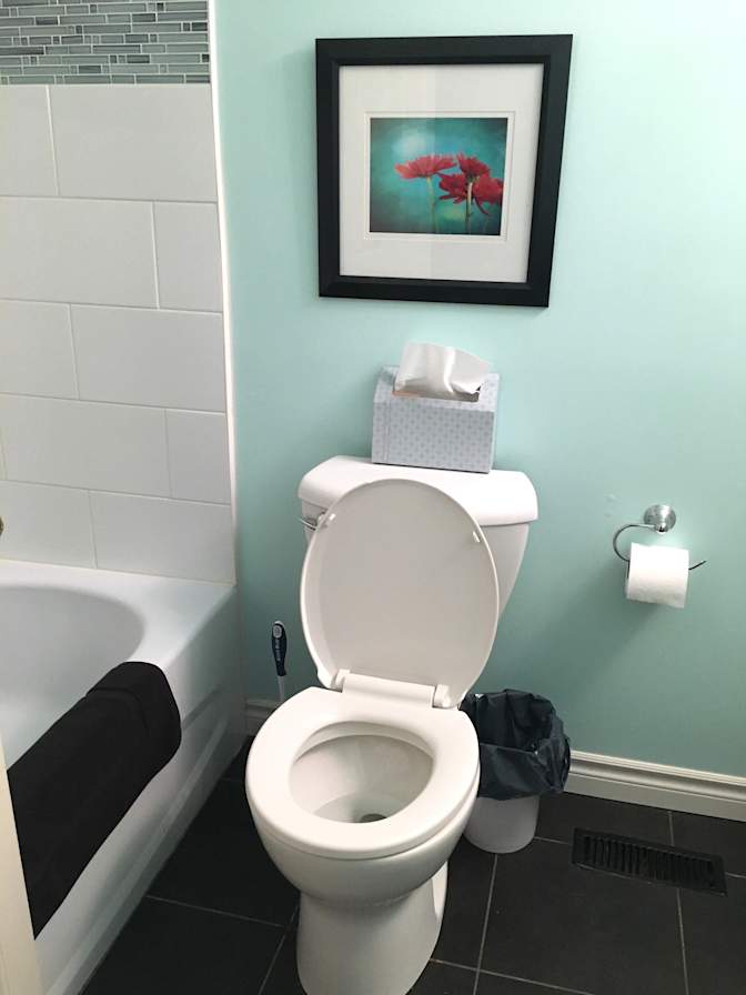 Toronto Rental's room