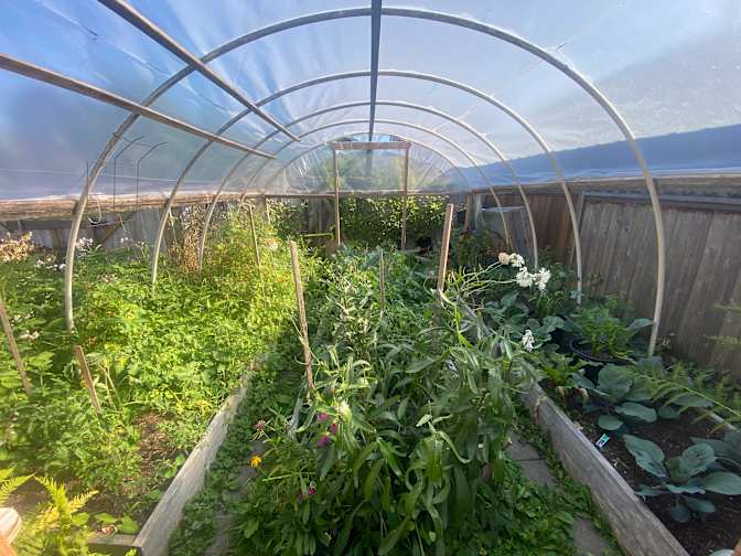 Photo of Gabe and Hannah's room