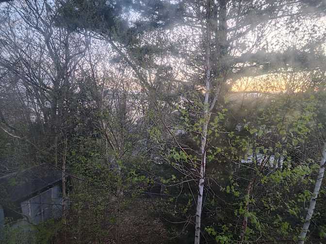 Photo of David's room