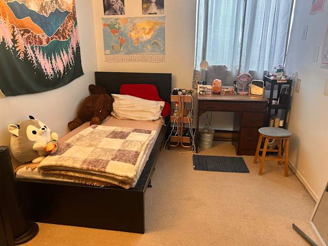 Shana Ann Barno's room