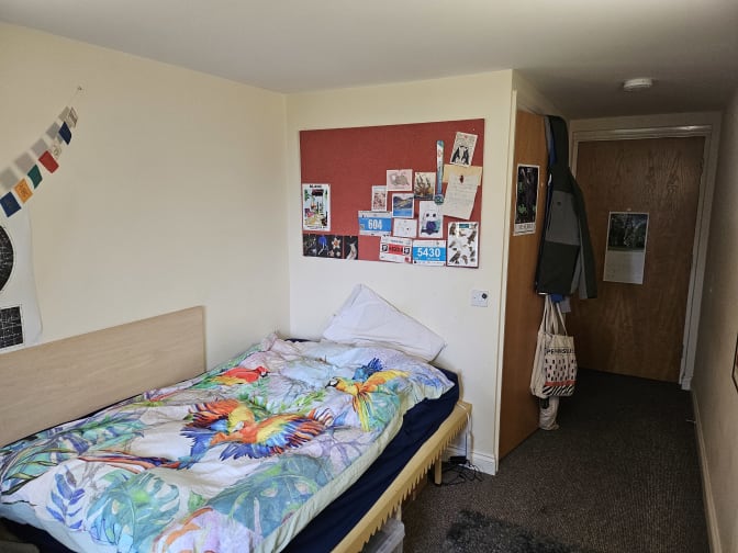 Photo of Adam's room
