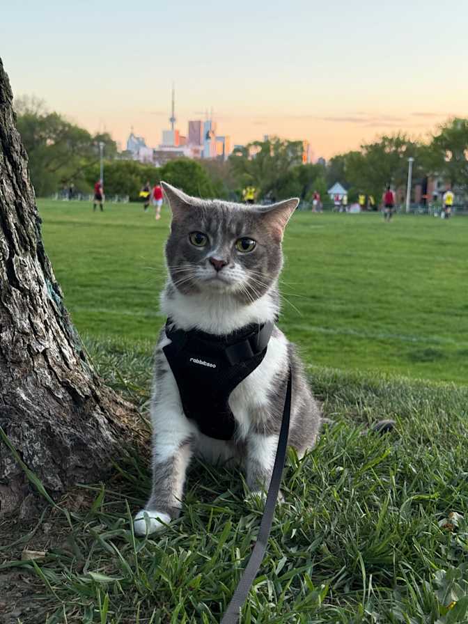 Andrea Castillo's room