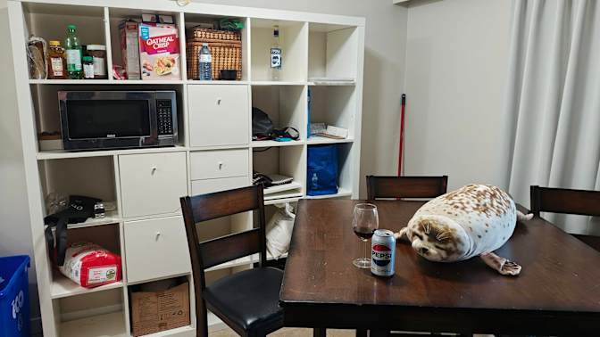 Photo of Kaera's room