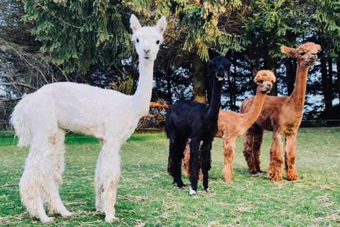 Photo of Ray Holden's room