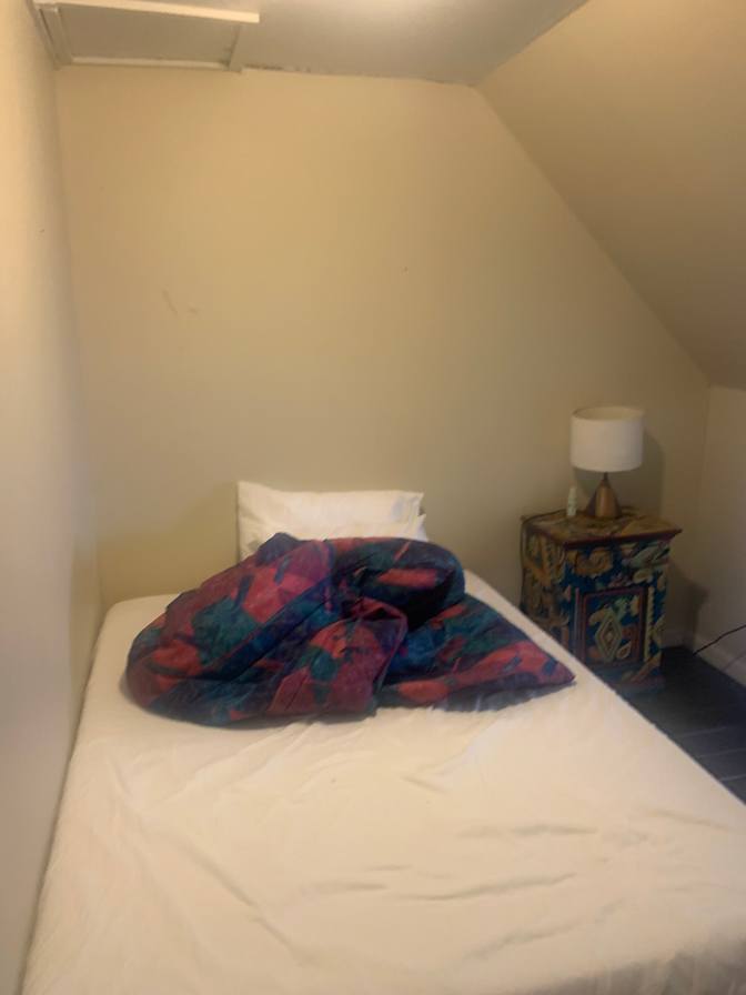 Photo of Brick on Brick's room