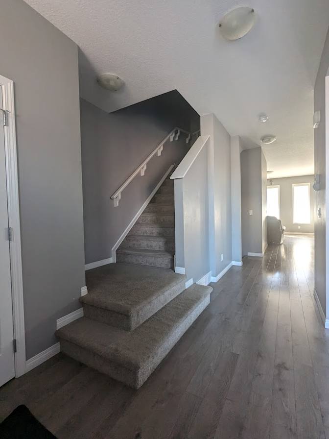 Photo of Daniel's room