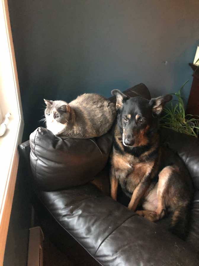 Kailey murray's room