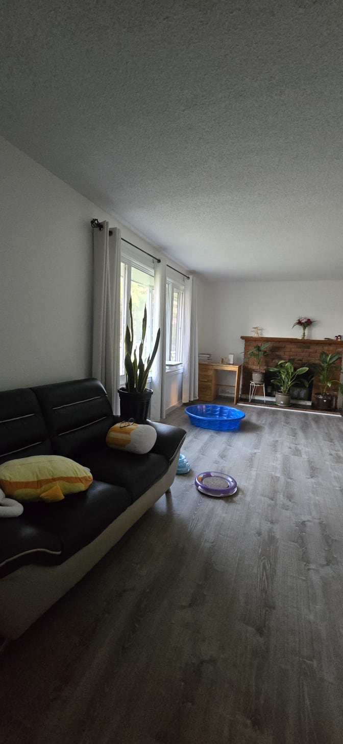 Photo of Sarah's room