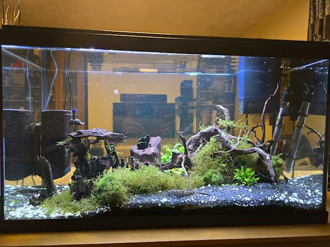 Photo of Gavin's room