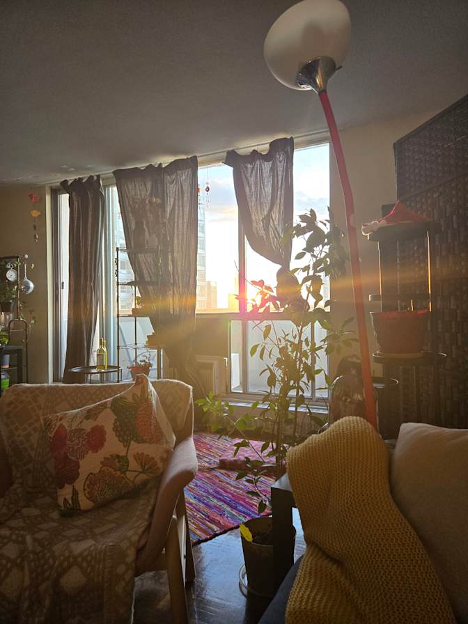 Photo of Mahima Singh's room