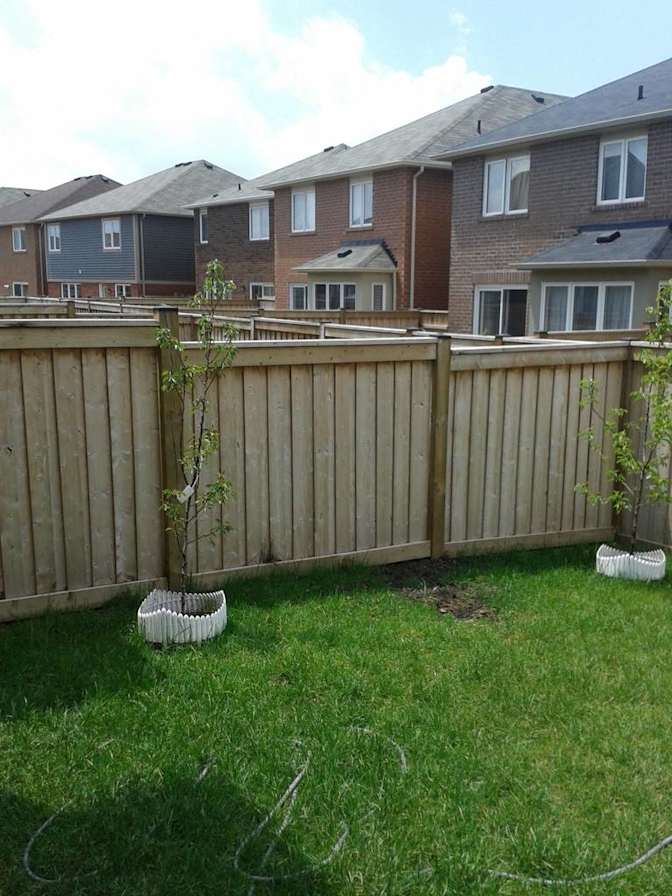 Photo of Shaheen's room