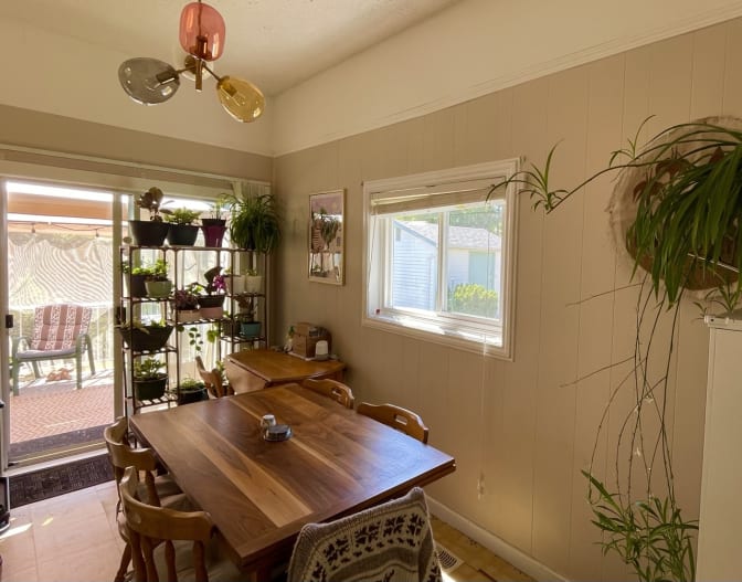 Caitlin Lepla's room