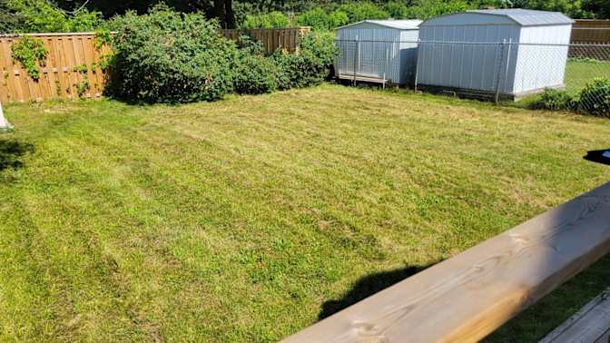 Mohammed Mueenudeen's room