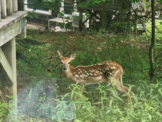 Photo of David's room