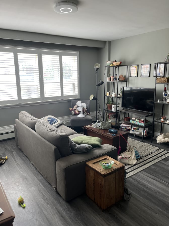 Photo of Layla's room