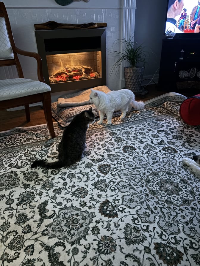 Photo of Betsy's room