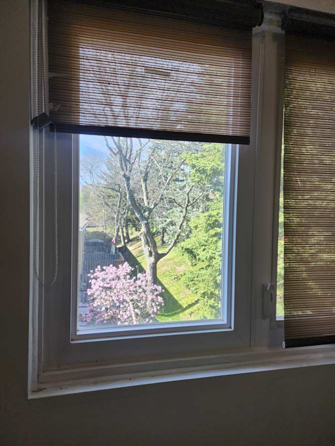 Osazomwanogie Gerard Usuanlele's room