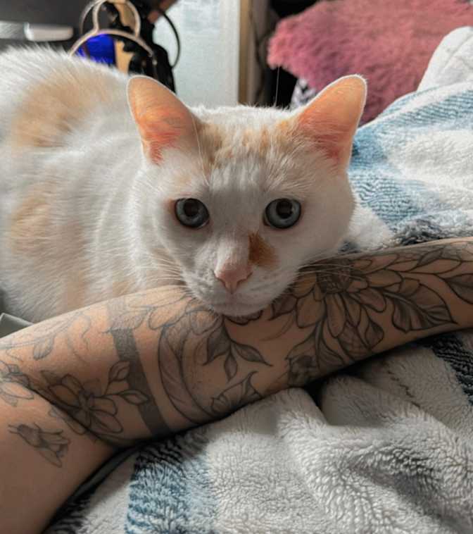 Photo of Alice's room