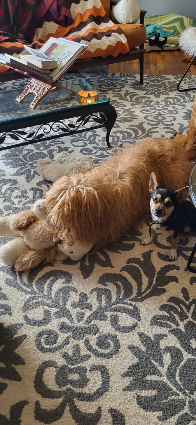 Photo of Cate's room