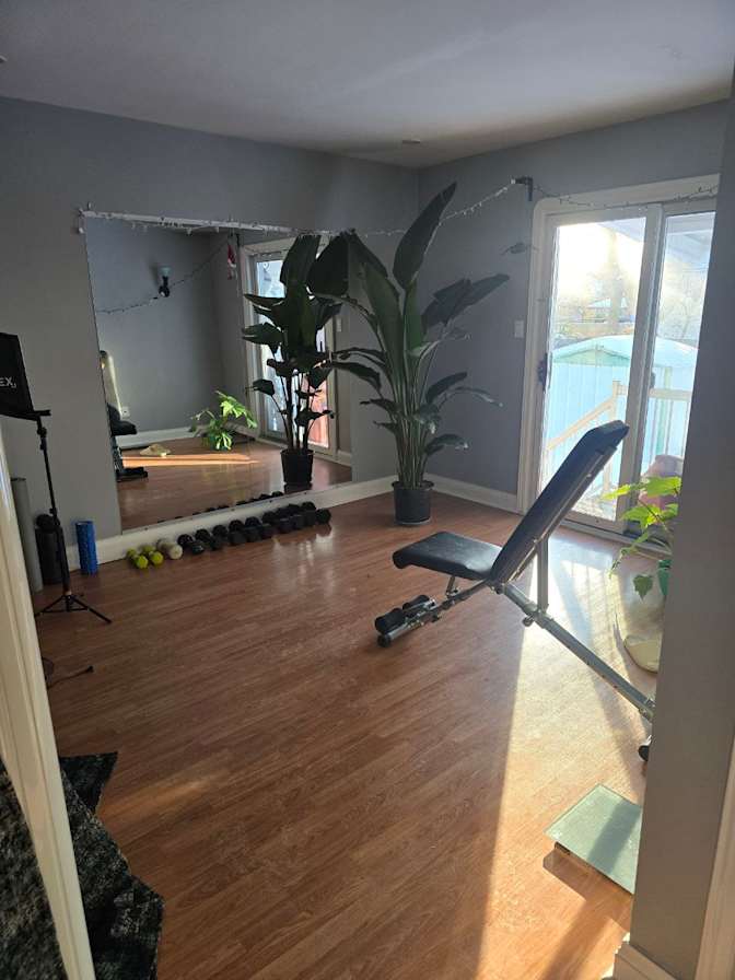 Alexander Voikov's room