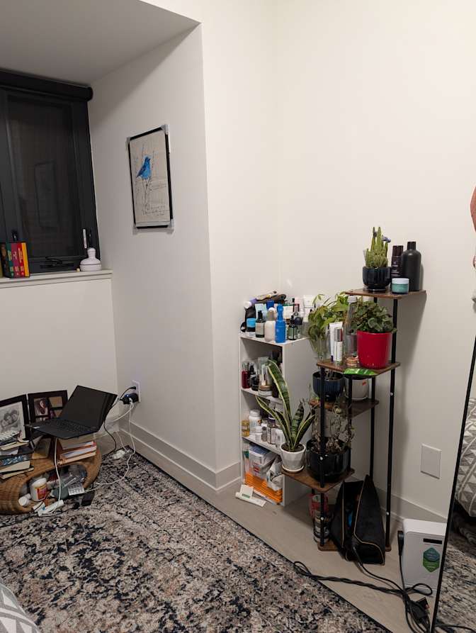 Nahid Tahrima's room