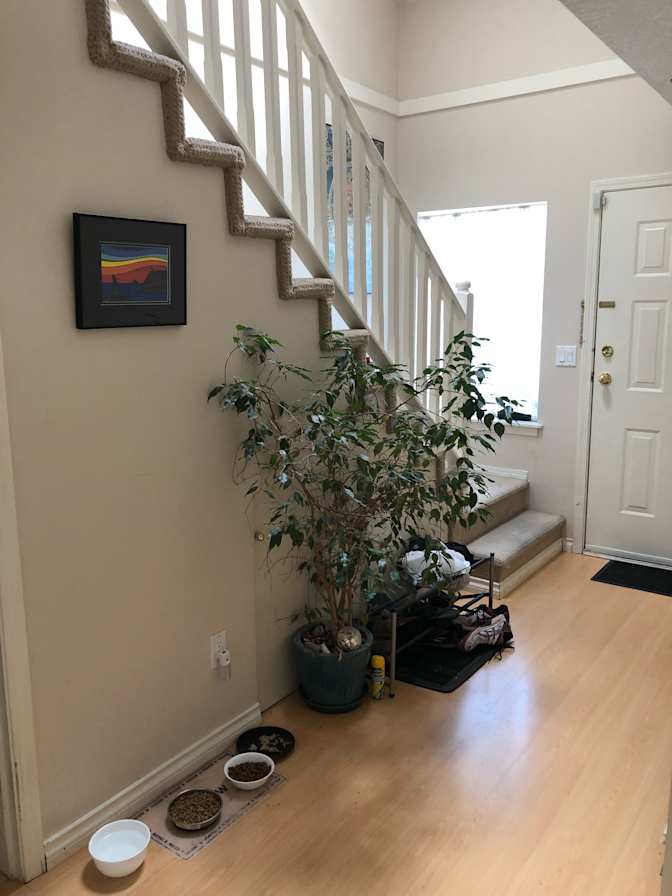 Photo of Bradley's room