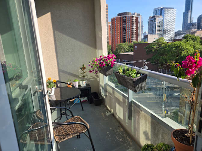 Photo of Gurjit's room