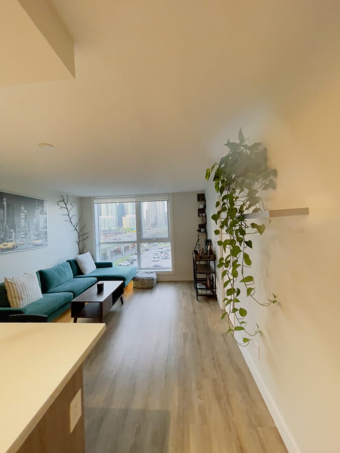 Photo of D's room