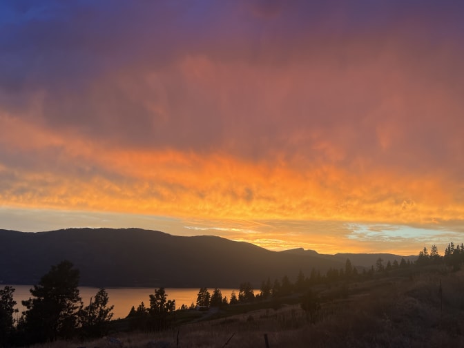 Taylor  Wilson's room