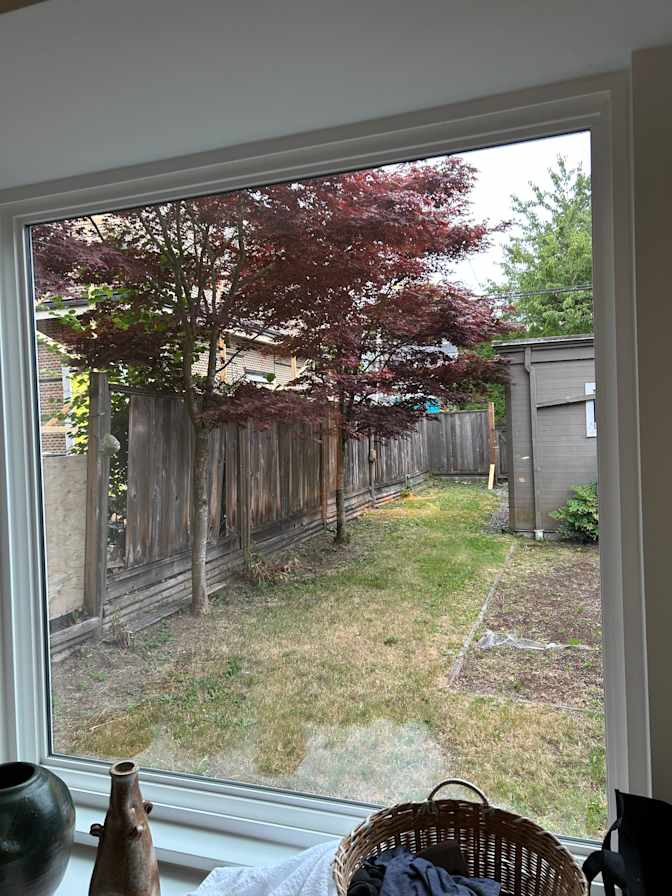 Calm and Peaceful's room