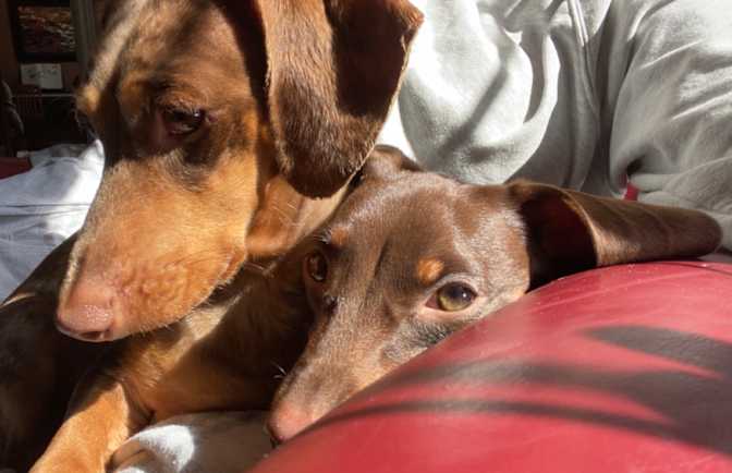 Photo of Cynthia's room