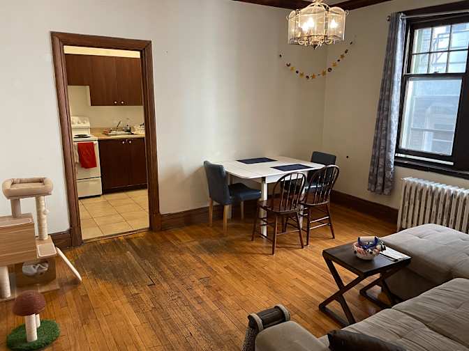 Eliana Ilieva's room