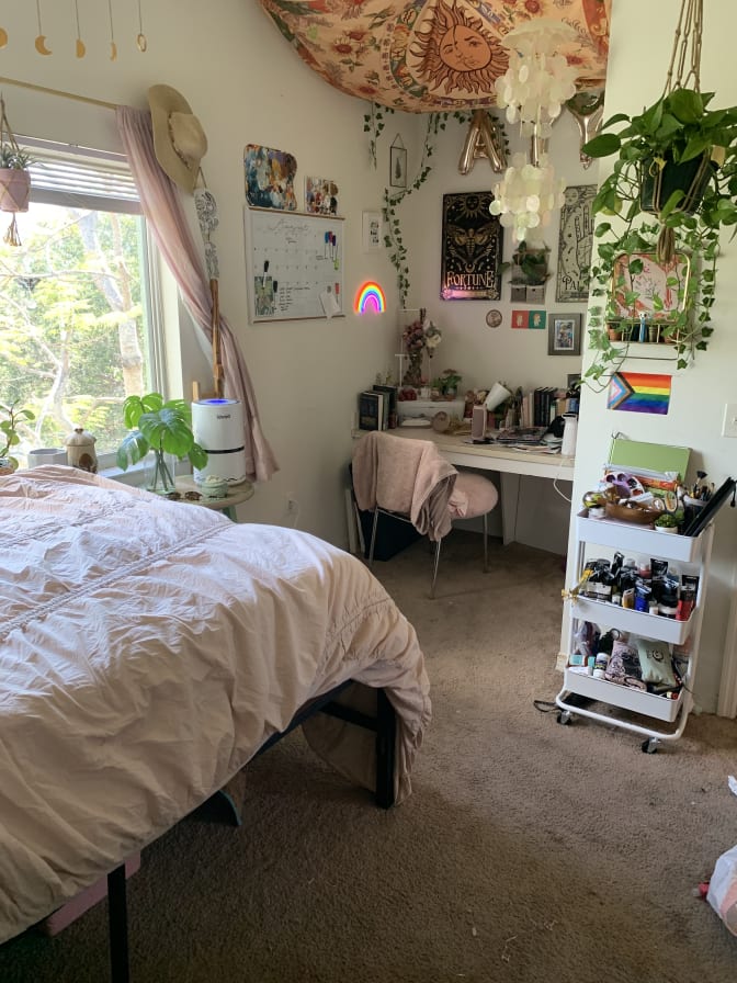 Photo of Chelsey's room