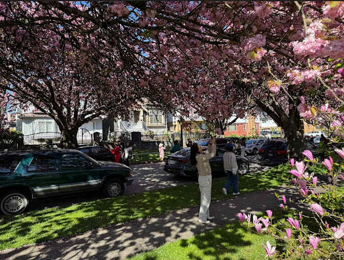 Photo of Danielle's room