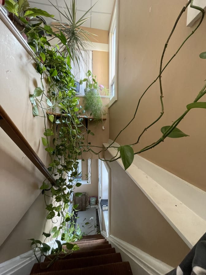 Photo of Cris's room