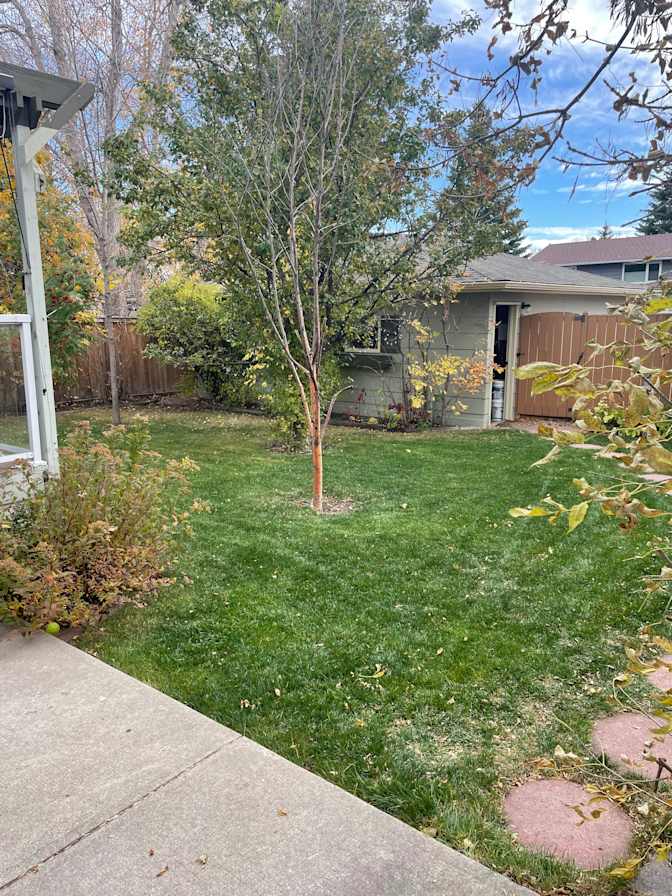 Greg Driedger's room