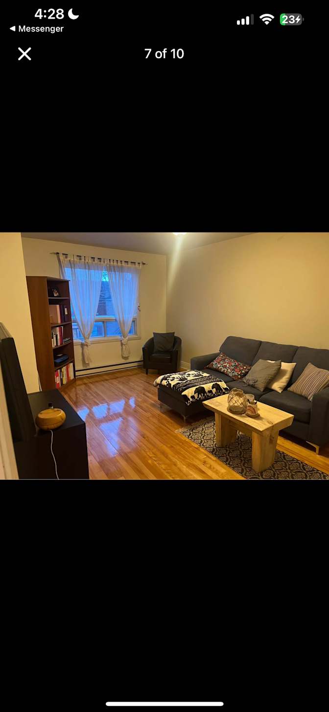 Yasmine El-Diwany's room